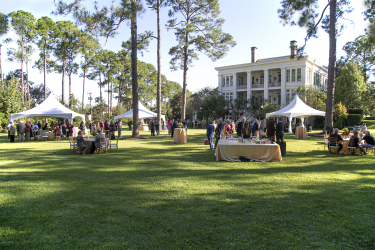 A wide view of the outdoor reception